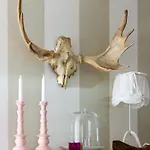 Nyaraló Ella By Interhome Dornum